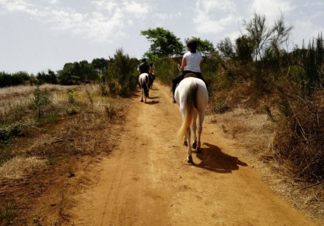 Montando a caballo en la isla de Tenerife